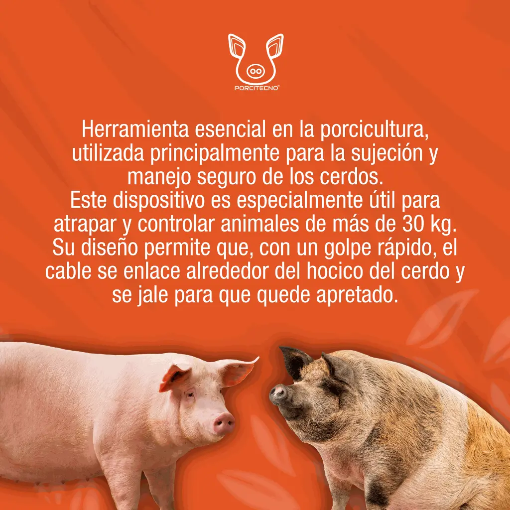 AXIAL_CORTO_M_01.webp