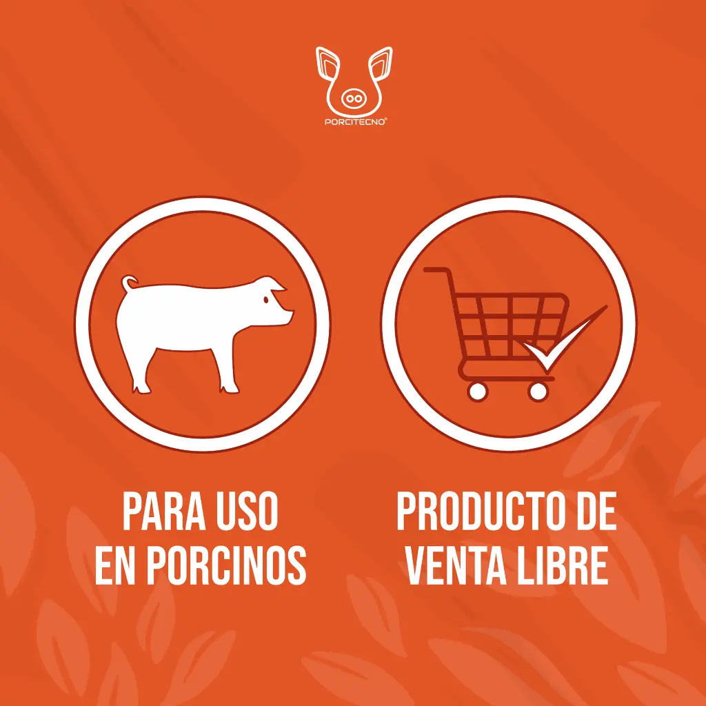 AXIAL_CORTO_M_02.webp