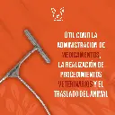 AXIAL_CORTO_M_03.webp