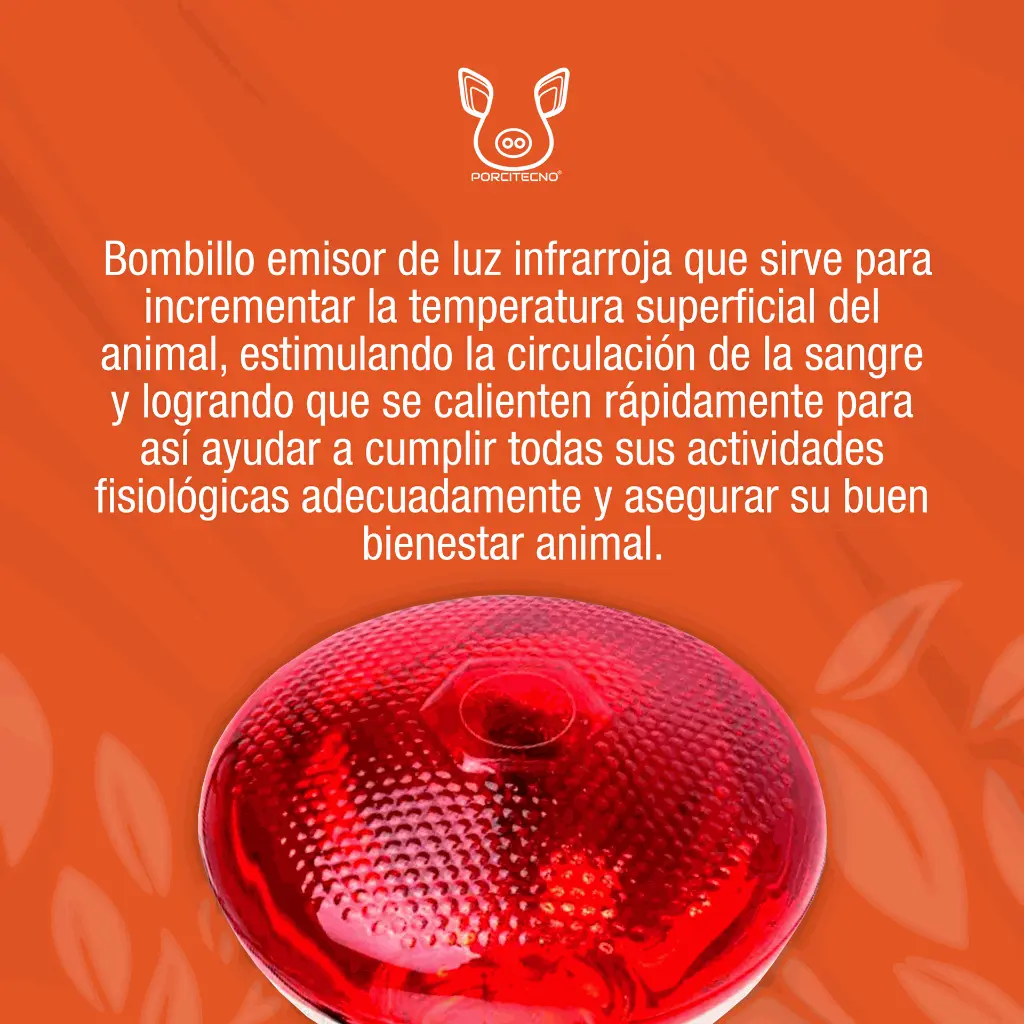 BOMBILLO_INFRARROJO_220V_175W_01.webp