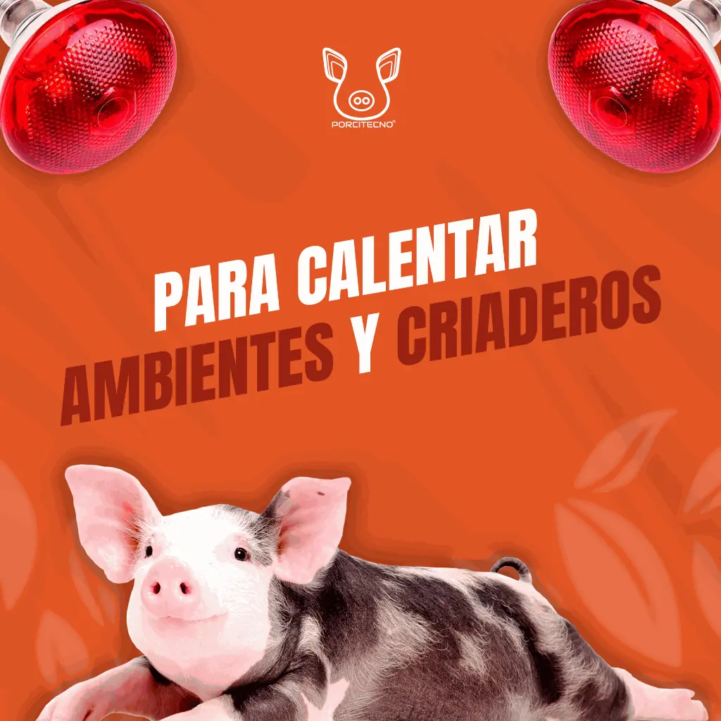 BOMBILLO_INFRARROJO_220V_175W_04.webp