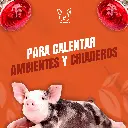 BOMBILLO_INFRARROJO_220V_175W_04.webp