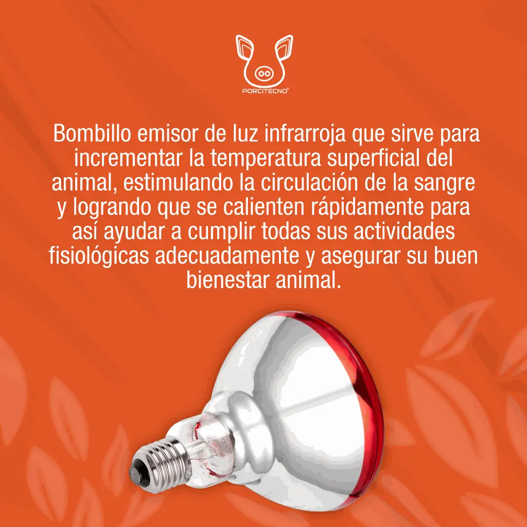 BOMBILLO_INFRARROJO_120V_175W_01.webp