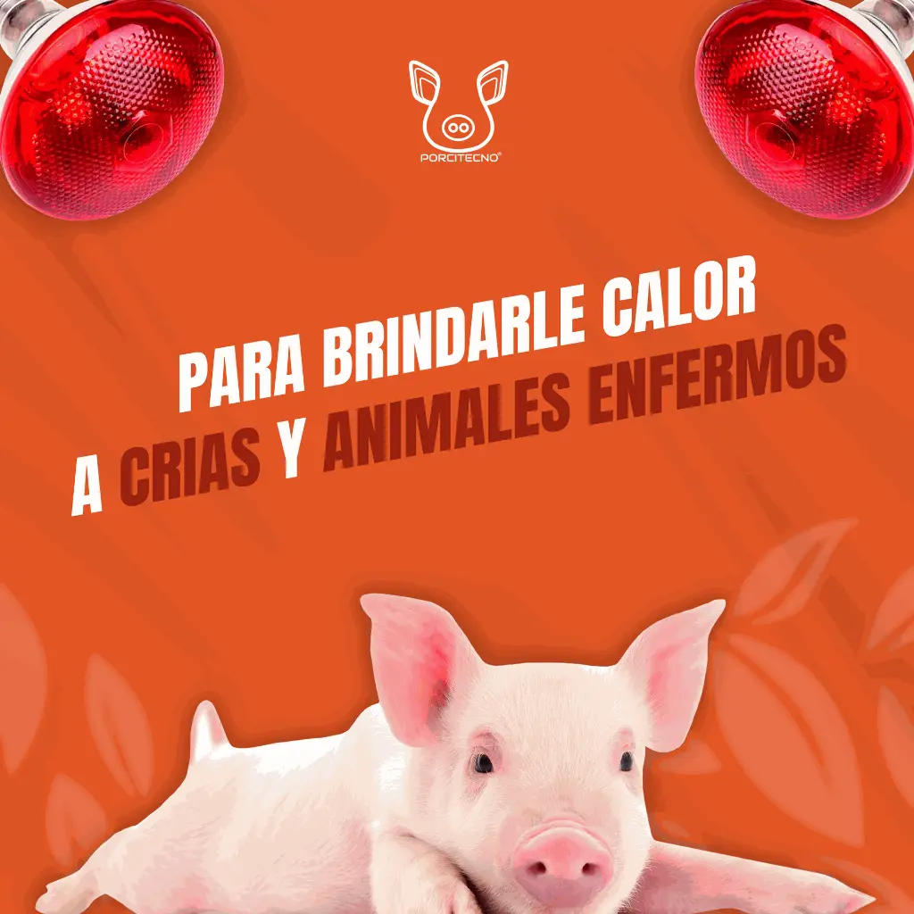 BOMBILLO_INFRARROJO_120V_175W_04.webp
