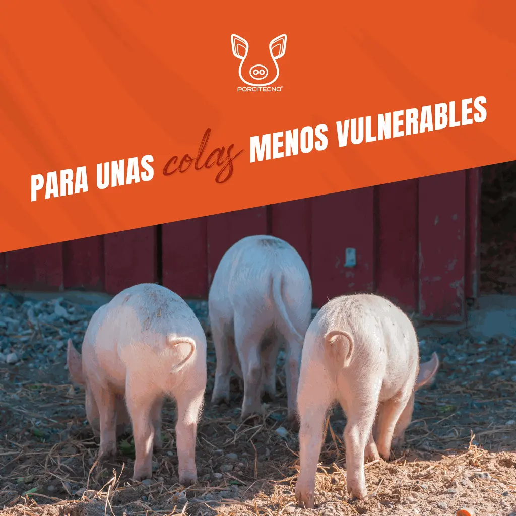 CORTACOLAS_ELECTRICO_TIJERA_03.webp