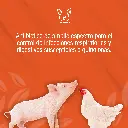 CIPROPHAR_25%_1KG_01.webp