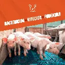 MONOPERSULFATO_21.4%_FUMIGENO_50GR_05.webp