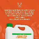 JABONCLEAN_4LTS_01.webp