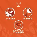 AZIX_FORTE_25LT_02.webp
