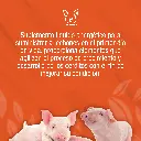 BIOENER_250ML_01.webp