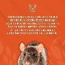 RATIGEN_CEBO_1KG_01.webp