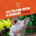 TILOSINA_100ML_05.webp