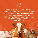 GAN_OXI_LA_100ML_01.webp