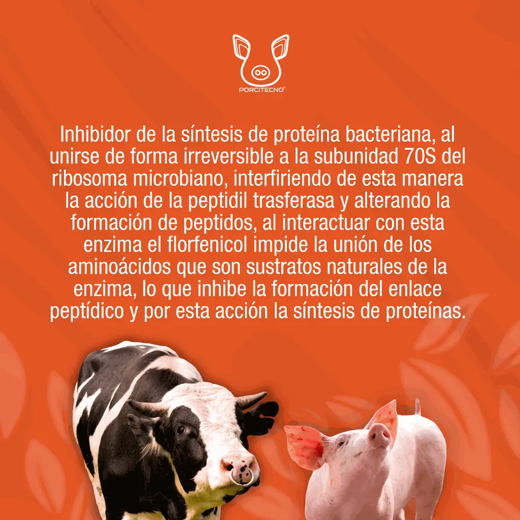 FLORBIOTICO_100ML_01.webp