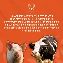 TULATROM_50ML_01.webp