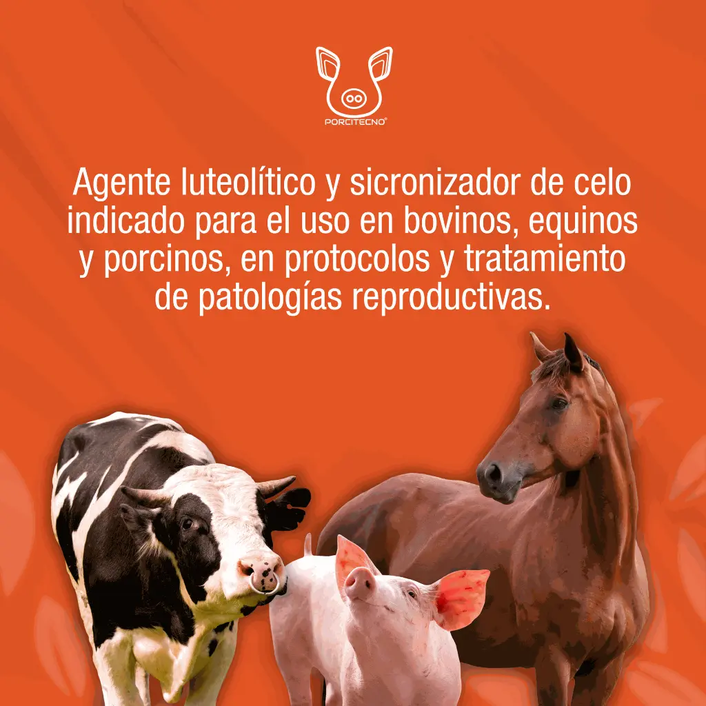SINCROCIO_20ML_01.webp