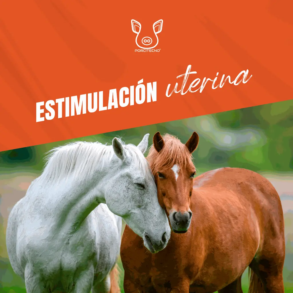 ESTRO_ZOO_20ML_05.webp