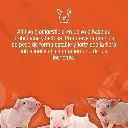 ESTIMILK_10KG_01.webp