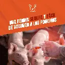 SLAP_SHOT_VACCINATOR30_04.webp