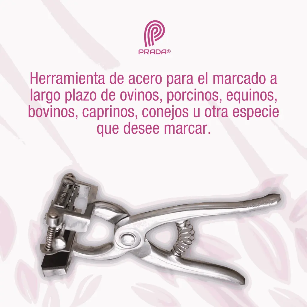 TATUADOR_PRADA_3-8_01.webp