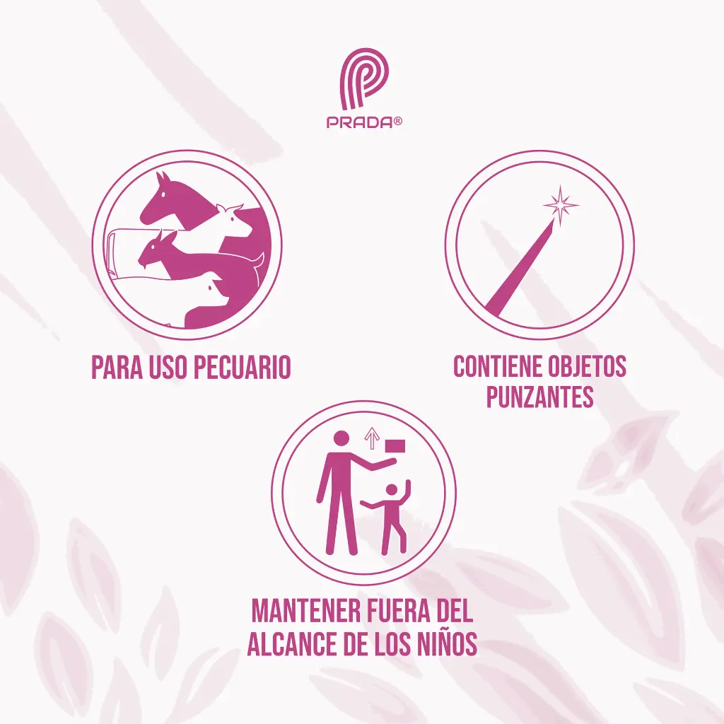 TATUADOR_PRADA_3-8_02.webp