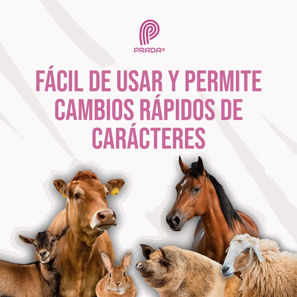 TATUADOR_PRADA_3-8_03.webp