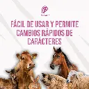 TATUADOR_PRADA_3-8_03.webp