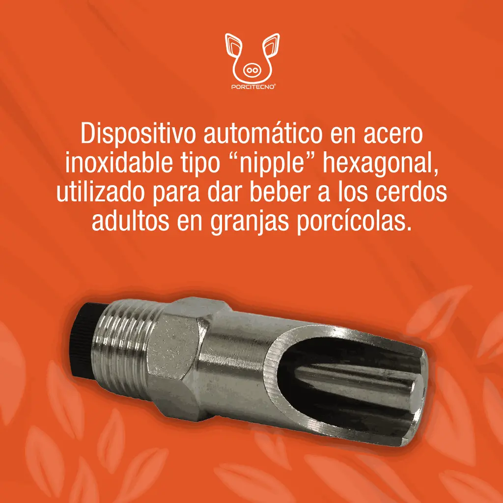 BEBEDERO_HEXAGONAL_1-2_ADULTOS_01.webp