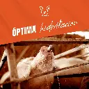 BEBEDERO_HEXAGONAL_1-2_ADULTOS_03.webp