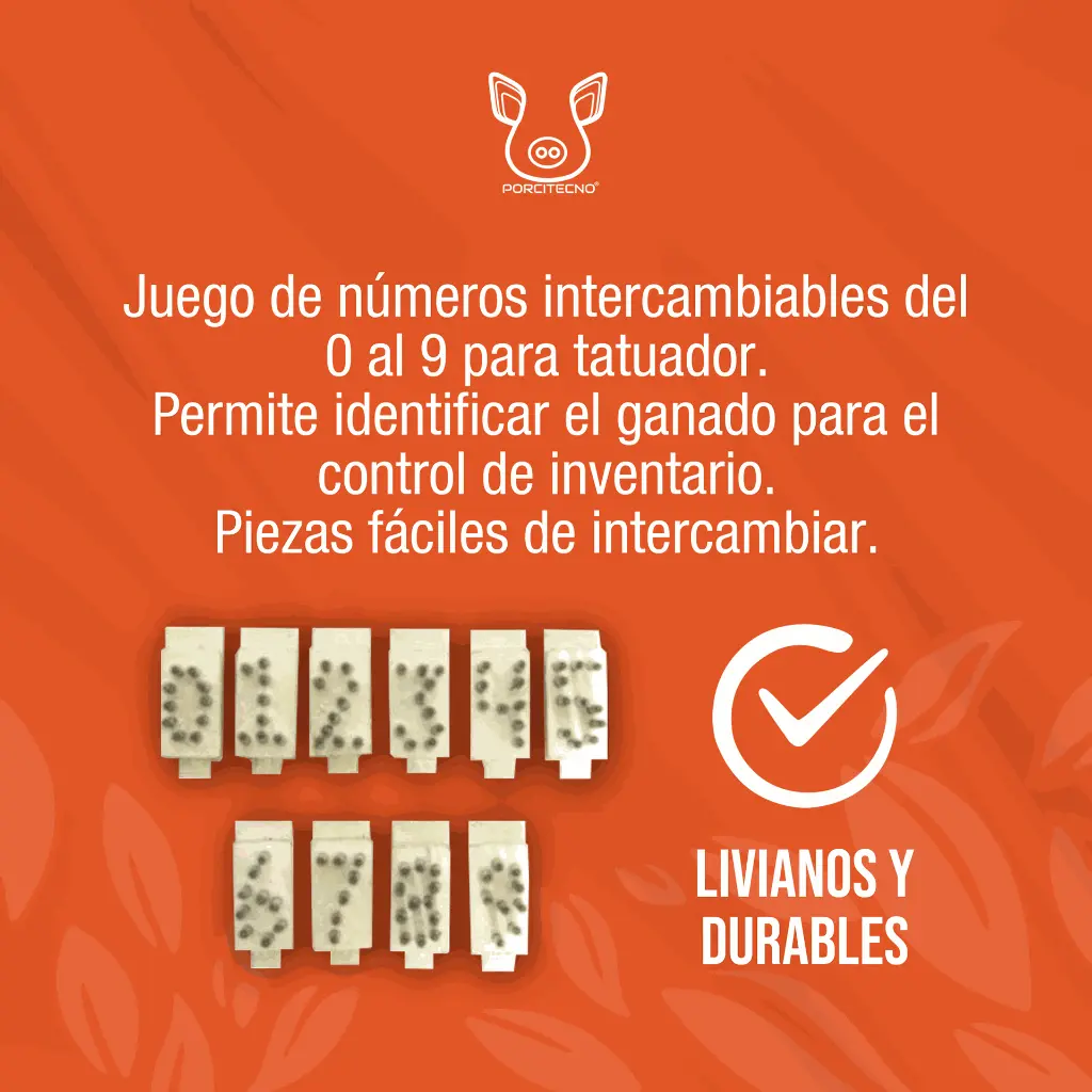 JUEGO_DADOS_NUMERICOS_5-16_01.webp