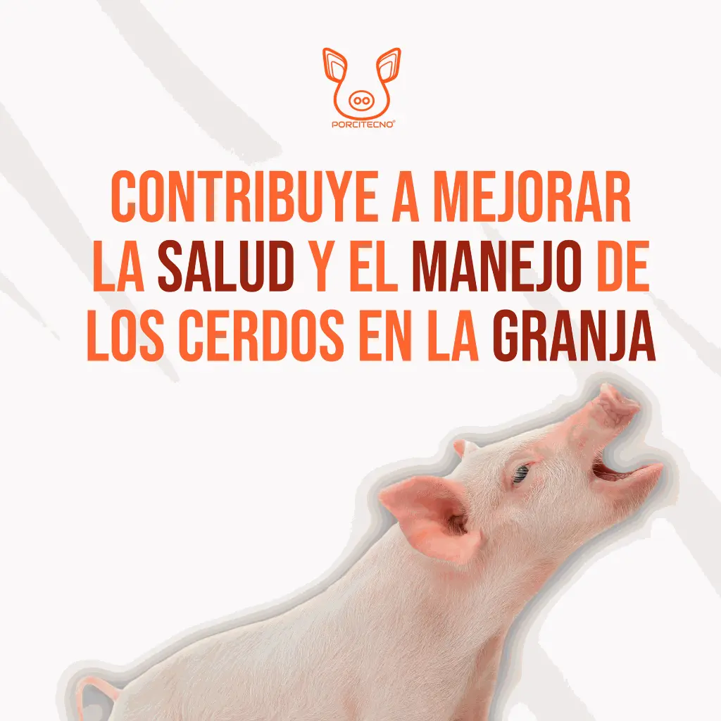 DESCOLMILLADOR_CERDOS_M_04.webp