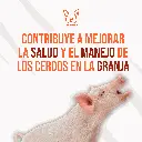 DESCOLMILLADOR_CERDOS_M_04.webp