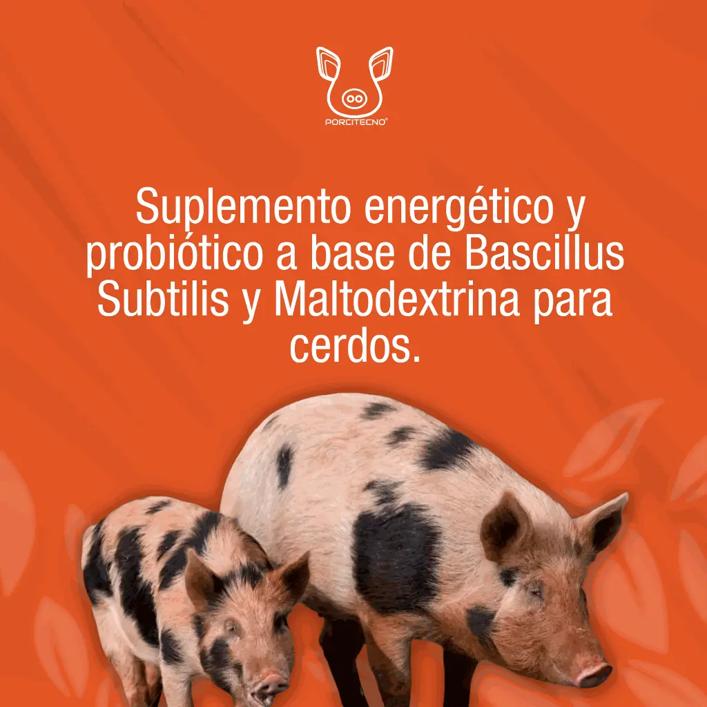 ENERGI-BAC_500ML_01.webp