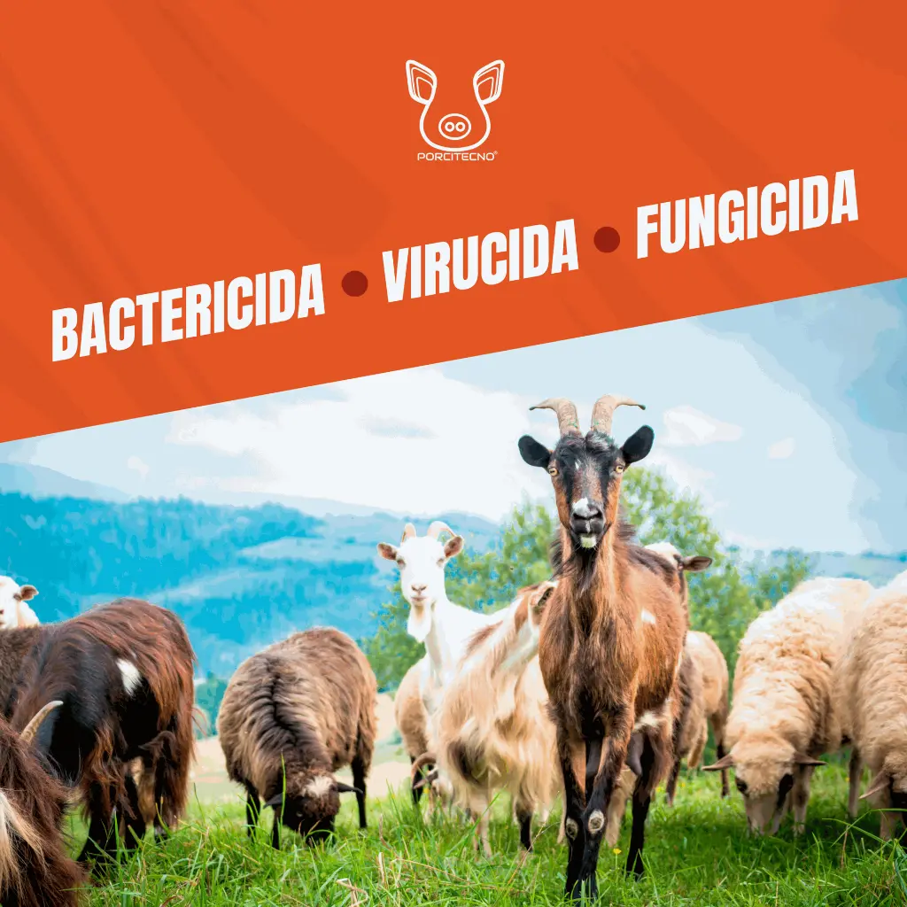 MONOPERSULFATO_21.4%_FUMIGENO_1000GR_05.webp