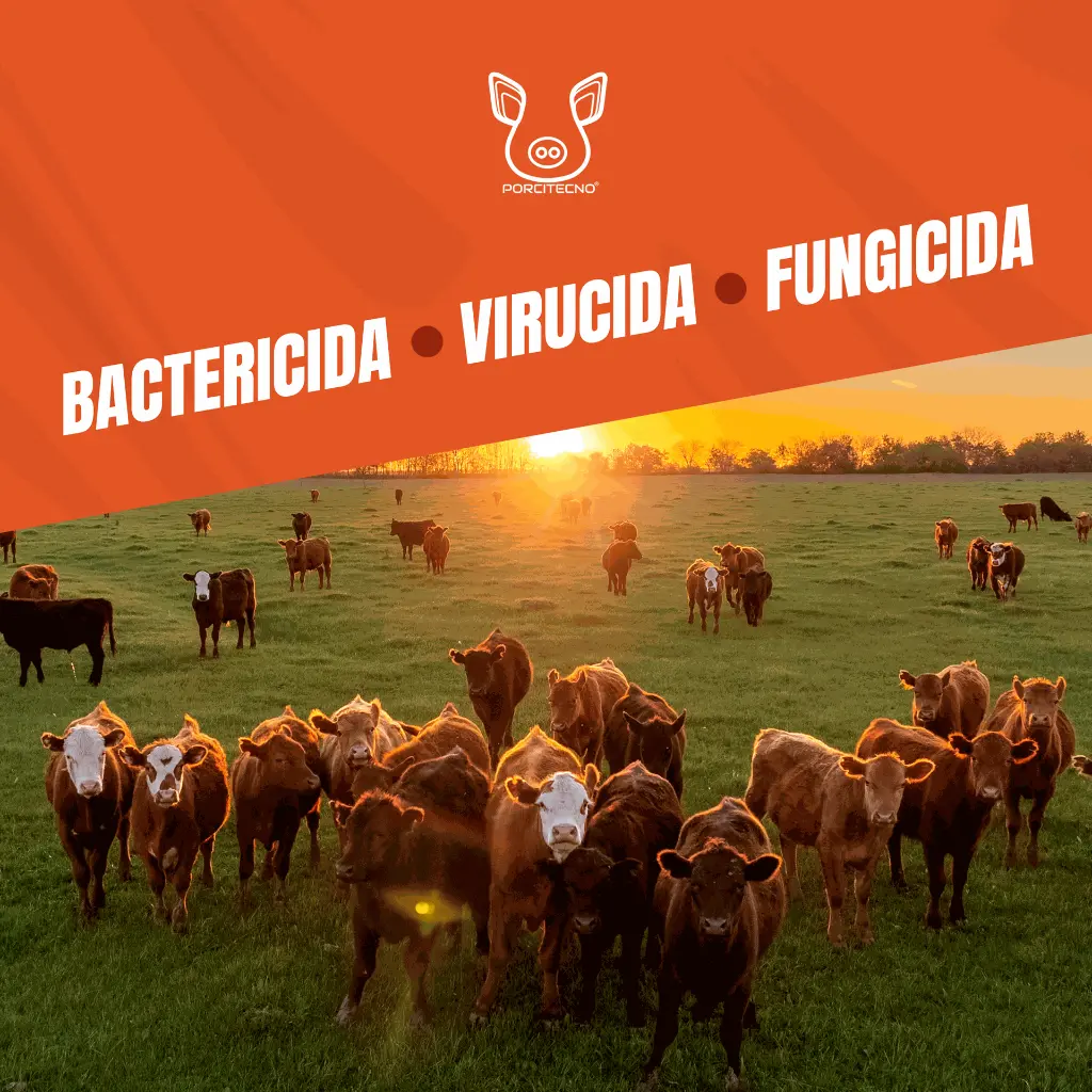 MONOPERSULFATO_21.4%_FUMIGENO_25GR_05.webp
