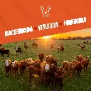 MONOPERSULFATO_21.4%_FUMIGENO_25GR_05.webp