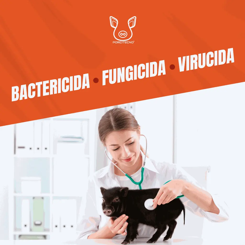 FORMOL_1.9LT_05.webp