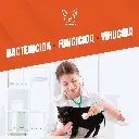 FORMOL_1.9LT_05.webp