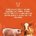 TILOSINA_250ML_01.webp