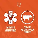 FILTRO_SEMEN_PORCINO_02.webp