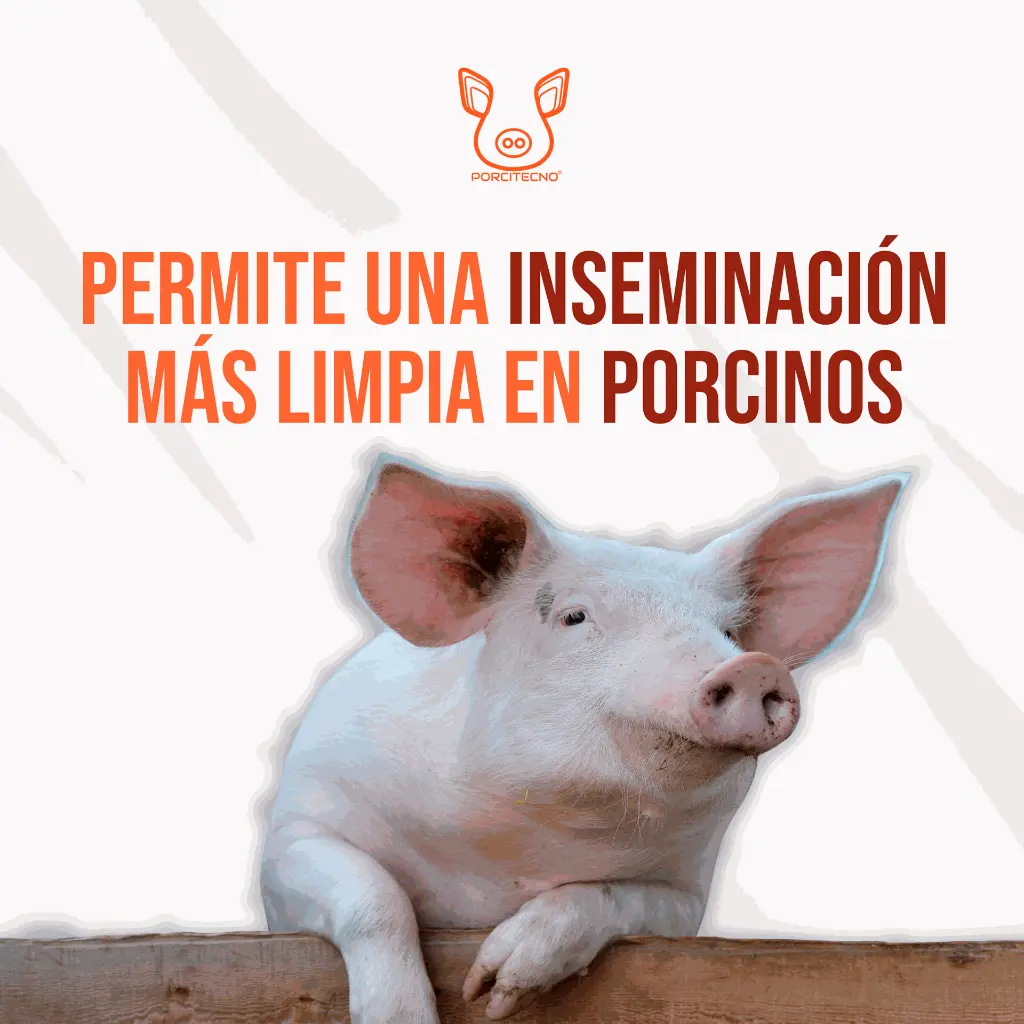 FILTRO_SEMEN_PORCINO_03.webp