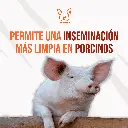 FILTRO_SEMEN_PORCINO_03.webp