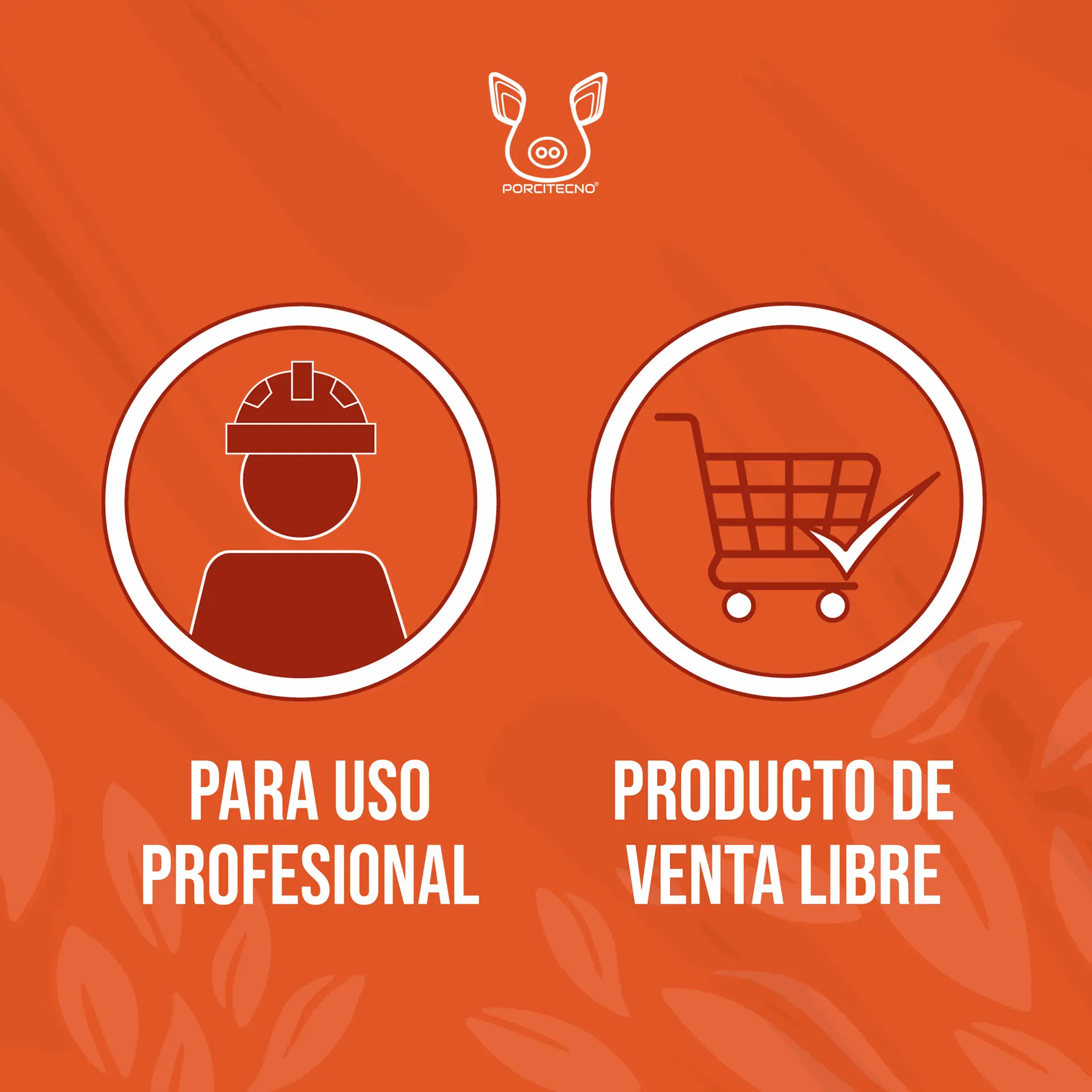 TERMOGRAFO_ELITECH_RC17_02.webp