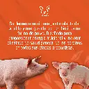 ENERGILAC_5KG_01.webp