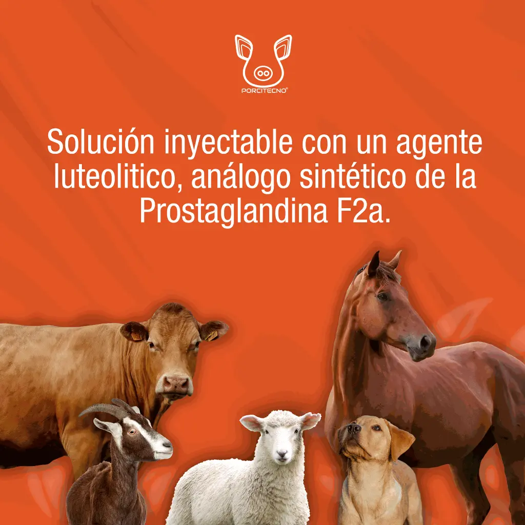 CLOPROSTENOL_SODICO_FCO_20ML_01.webp