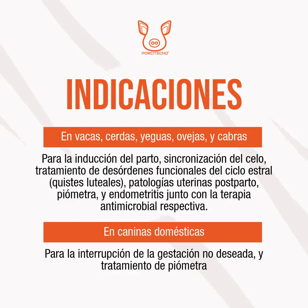 CLOPROSTENOL_SODICO_FCO_20ML_05.webp