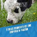 DESTETADOR_PEQUEÑO_PLASTICO_03.webp