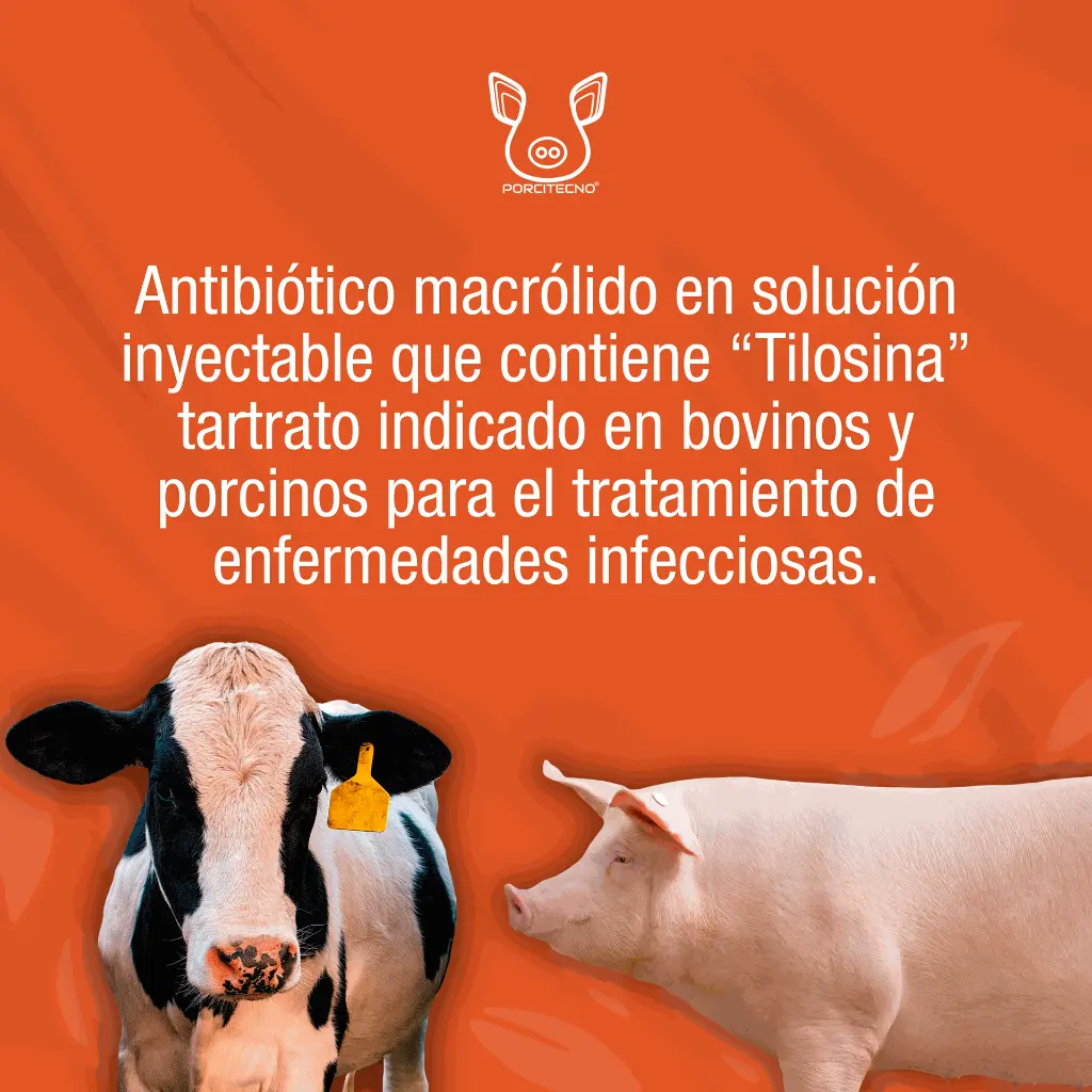 TILOSINA_100ML_01.webp