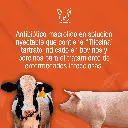 TILOSINA_100ML_01.webp