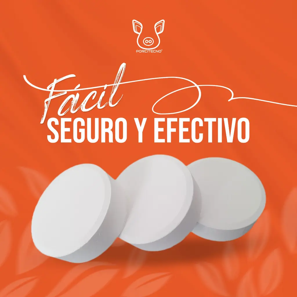 Pastillas-Cloro-2.webp
